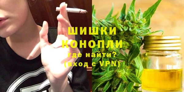 сатива Абдулино